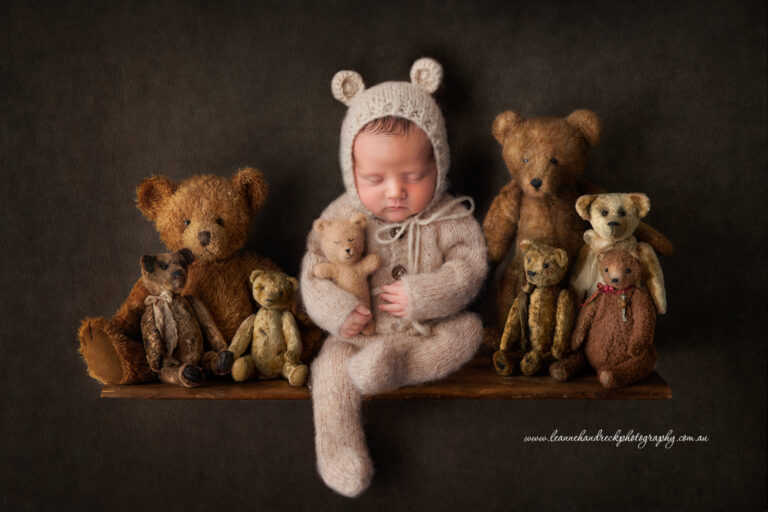 teddy bear shelf 768x512