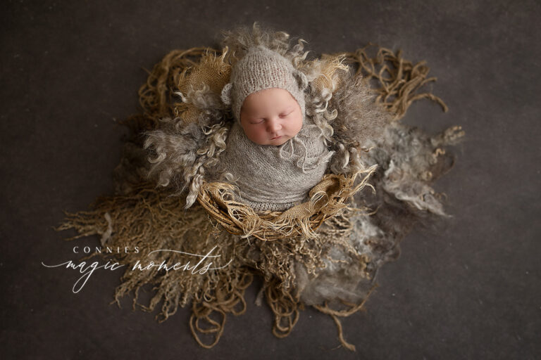 best newborn baby boy portrait brisbane 768x512
