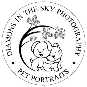 Diamonds in the Sky Pets Logo Round Black 1 300x300